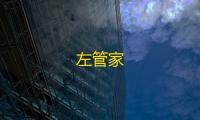左管家